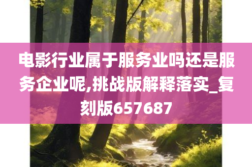 电影行业属于服务业吗还是服务企业呢,挑战版解释落实_复刻版657687