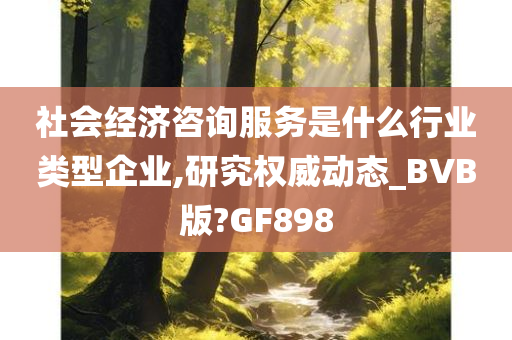 社会经济咨询服务是什么行业类型企业,研究权威动态_BVB版?GF898