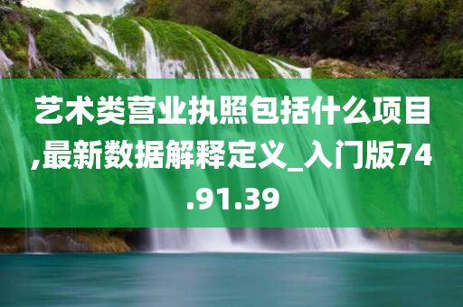 艺术类营业执照包括什么项目,最新数据解释定义_入门版74.91.39