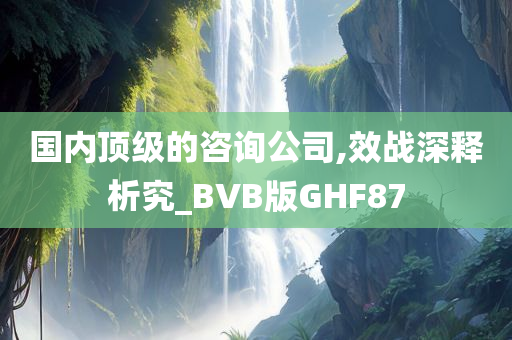 国内顶级的咨询公司,效战深释析究_BVB版GHF87