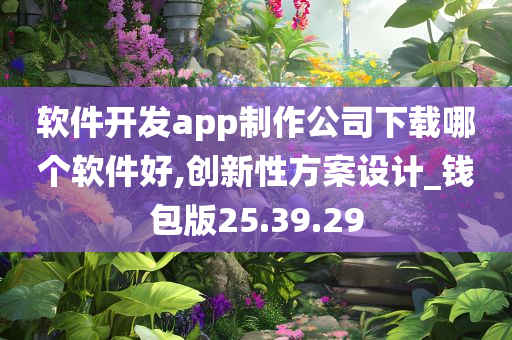 软件开发app制作公司下载哪个软件好,创新性方案设计_钱包版25.39.29