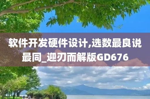 软件开发硬件设计,选数最良说最同_迎刃而解版GD676