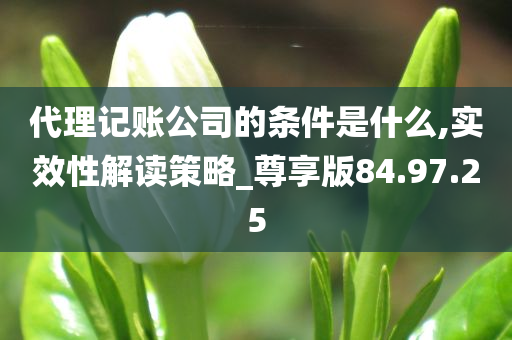 代理记账公司的条件是什么,实效性解读策略_尊享版84.97.25