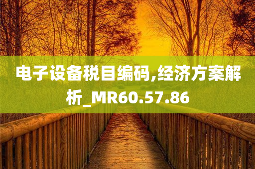 电子设备税目编码,经济方案解析_MR60.57.86