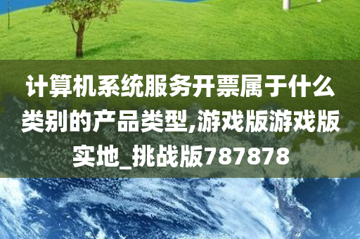 计算机系统服务开票属于什么类别的产品类型,游戏版游戏版实地_挑战版787878