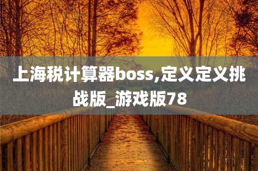 上海税计算器boss,定义定义挑战版_游戏版78