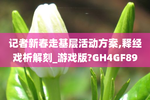 记者新春走基层活动方案,释经戏析解刻_游戏版?GH4GF89