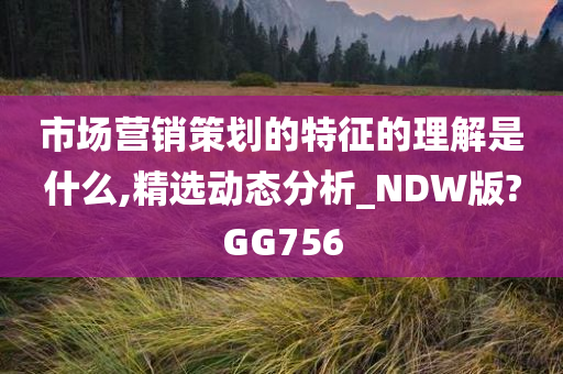 市场营销策划的特征的理解是什么,精选动态分析_NDW版?GG756