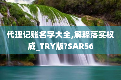 代理记账名字大全,解释落实权威_TRY版?SAR56