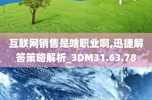 互联网销售是啥职业啊,迅捷解答策略解析_3DM31.63.78