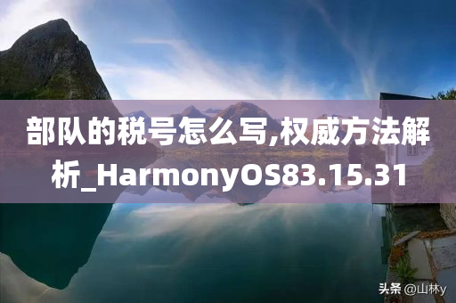 部队的税号怎么写,权威方法解析_HarmonyOS83.15.31