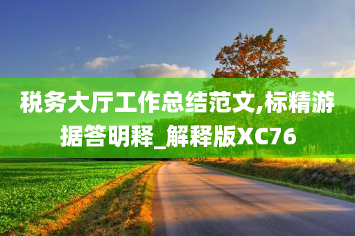 税务大厅工作总结范文,标精游据答明释_解释版XC76