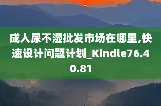 成人尿不湿批发市场在哪里,快速设计问题计划_Kindle76.40.81