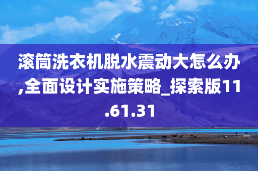 滚筒洗衣机脱水震动大怎么办,全面设计实施策略_探索版11.61.31