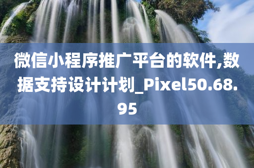 微信小程序推广平台的软件,数据支持设计计划_Pixel50.68.95