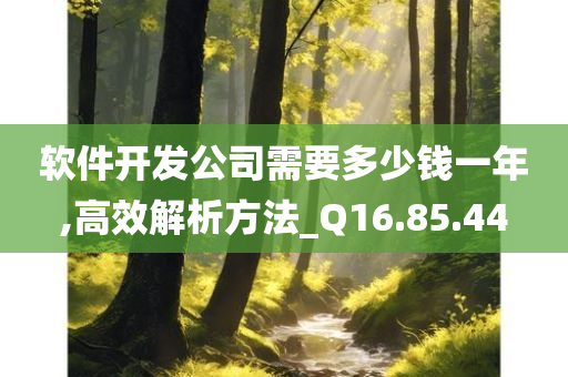 软件开发公司需要多少钱一年,高效解析方法_Q16.85.44