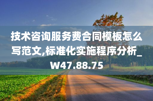 技术咨询服务费合同模板怎么写范文,标准化实施程序分析_W47.88.75