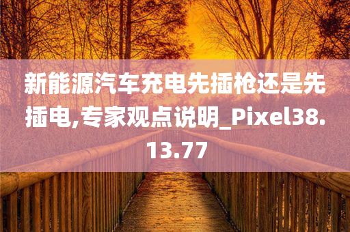 新能源汽车充电先插枪还是先插电,专家观点说明_Pixel38.13.77