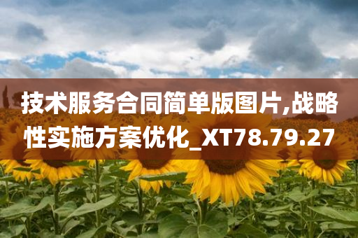 技术服务合同简单版图片,战略性实施方案优化_XT78.79.27