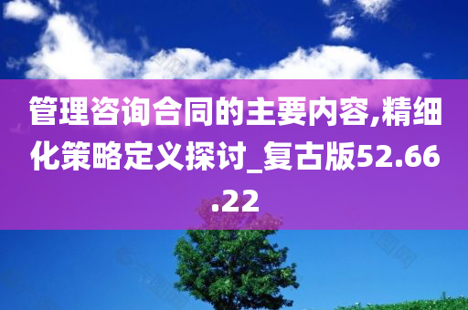 管理咨询合同的主要内容,精细化策略定义探讨_复古版52.66.22