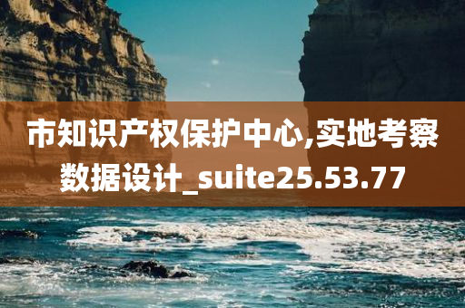 市知识产权保护中心,实地考察数据设计_suite25.53.77