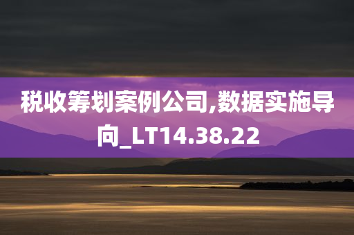 税收筹划案例公司,数据实施导向_LT14.38.22