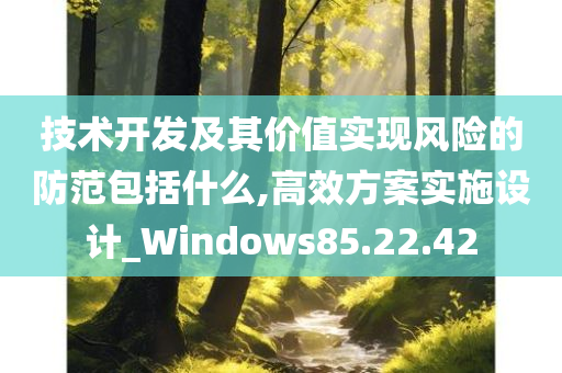 技术开发及其价值实现风险的防范包括什么,高效方案实施设计_Windows85.22.42