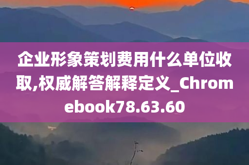 企业形象策划费用什么单位收取,权威解答解释定义_Chromebook78.63.60