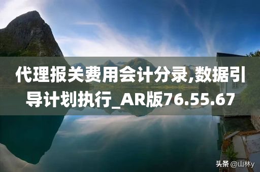 代理报关费用会计分录,数据引导计划执行_AR版76.55.67