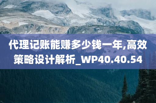 代理记账能赚多少钱一年,高效策略设计解析_WP40.40.54