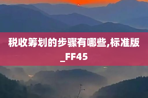 税收筹划的步骤有哪些,标准版_FF45