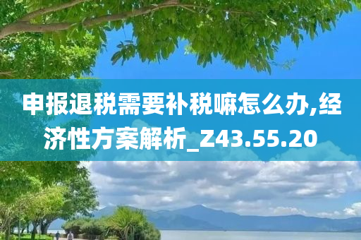 申报退税需要补税嘛怎么办,经济性方案解析_Z43.55.20