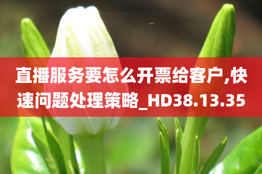 直播服务要怎么开票给客户,快速问题处理策略_HD38.13.35