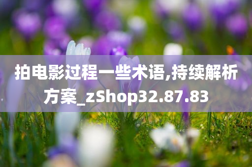 拍电影过程一些术语,持续解析方案_zShop32.87.83