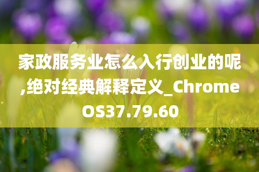 家政服务业怎么入行创业的呢,绝对经典解释定义_ChromeOS37.79.60