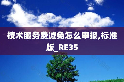 技术服务费减免怎么申报,标准版_RE35