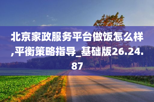 北京家政服务平台做饭怎么样,平衡策略指导_基础版26.24.87