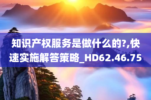 知识产权服务是做什么的?,快速实施解答策略_HD62.46.75