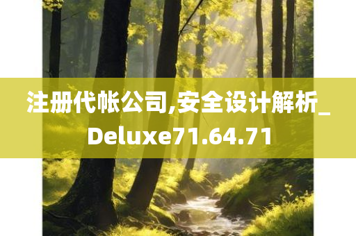 注册代帐公司,安全设计解析_Deluxe71.64.71