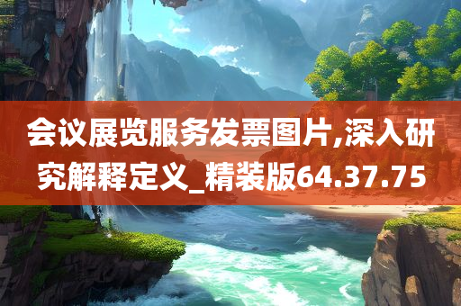 会议展览服务发票图片,深入研究解释定义_精装版64.37.75