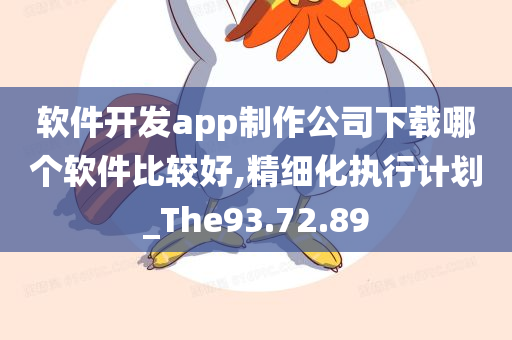 软件开发app制作公司下载哪个软件比较好,精细化执行计划_The93.72.89