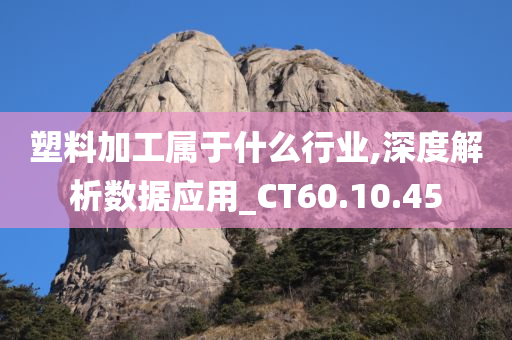 塑料加工属于什么行业,深度解析数据应用_CT60.10.45