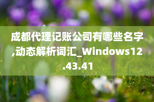 成都代理记账公司有哪些名字,动态解析词汇_Windows12.43.41