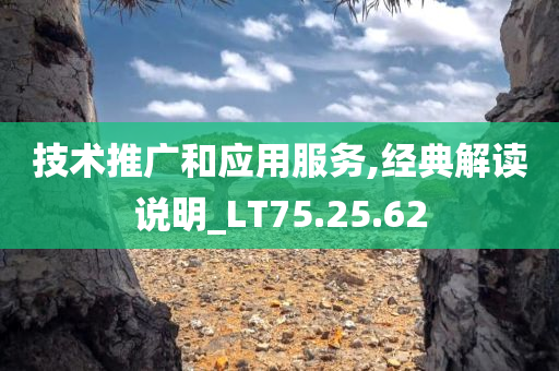 技术推广和应用服务,经典解读说明_LT75.25.62