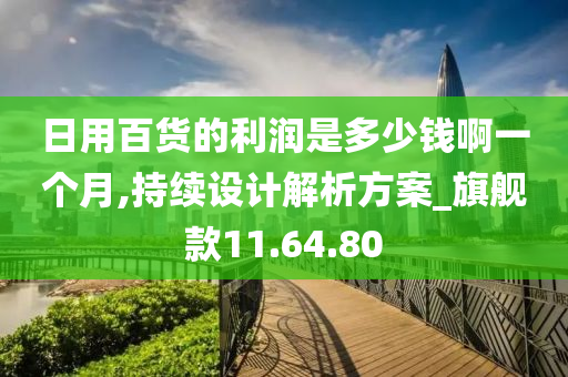 日用百货的利润是多少钱啊一个月,持续设计解析方案_旗舰款11.64.80