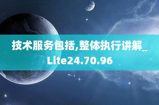 技术服务包括,整体执行讲解_Lite24.70.96