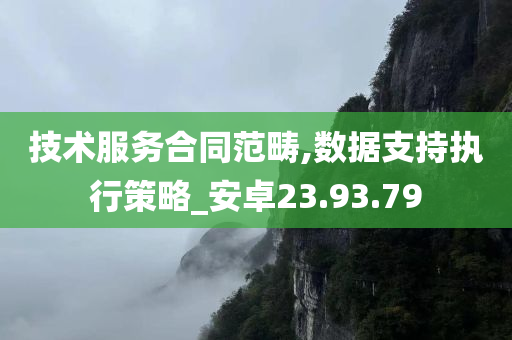 技术服务合同范畴,数据支持执行策略_安卓23.93.79