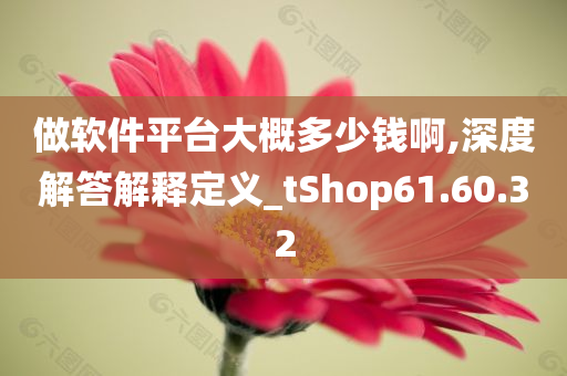 做软件平台大概多少钱啊,深度解答解释定义_tShop61.60.32