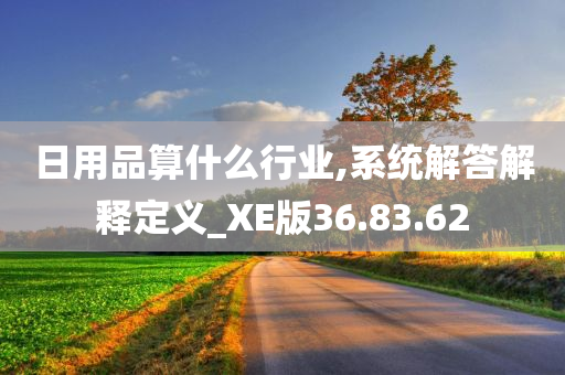 日用品算什么行业,系统解答解释定义_XE版36.83.62