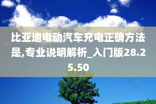 比亚迪电动汽车充电正确方法是,专业说明解析_入门版28.25.50